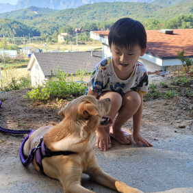 형아랑 산책