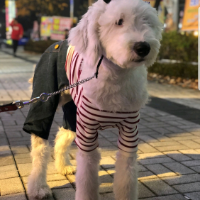 모두 잠든순간 도벽이 발동한다.