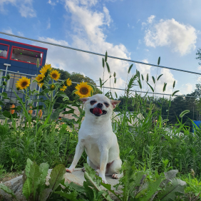 뛰는게 제일 좋을 나이 ☺️