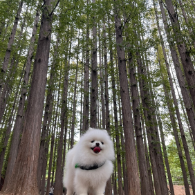 구름이는 여행을 좋아해