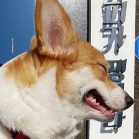 오드리햇반양을 소개합니다^^미소가 아름다운 그녀