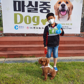 춘천시 반려견 행사 마실중DOG 참가