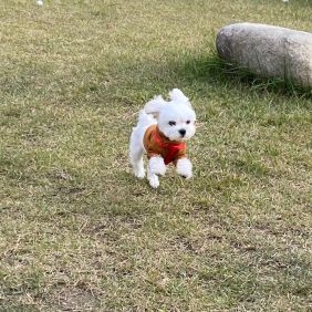 설기 첫 강원도 여행