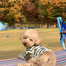 견생 첫 여행은 강원도!