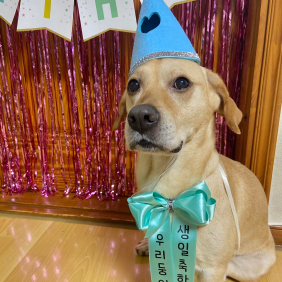 댕청미의 끝판왕 정둥이!