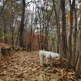 정선에서 행복했던 1박2일