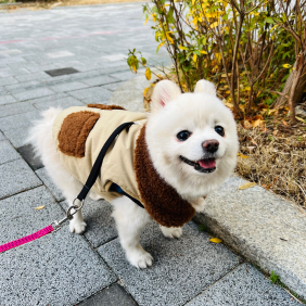 얼굴만 보면 애기!