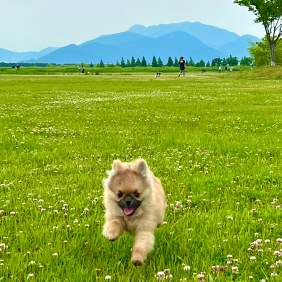 첫 산책