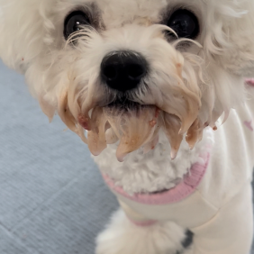 연유만 행복하면 괜찮아..ㅎ