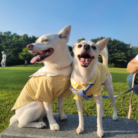 함께여서 행복두배